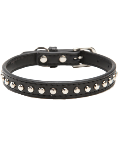 DOG COLLAR Doggie Hillfigher