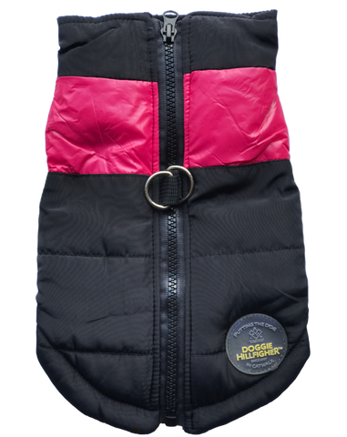Dog harness and jacket in one