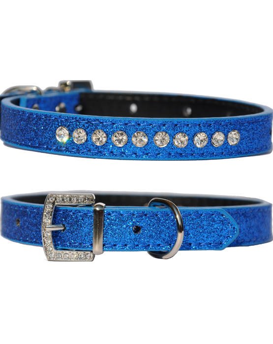 Candy finish blueberry coloured dog collar with rhinestone studs and a rhinestone buckle