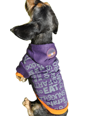 Purple dog hoodie with orange trimmings and silver words printed on the back with a Doggie Hillfigher rubber badge on the hoodie