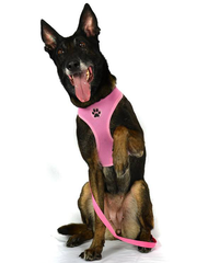 Pink soft dog harness with Doggie Hillfigher rubber badge and matching nylon lead