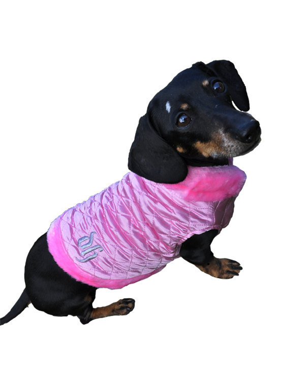 Pink dog coat with fur trimmings and DH embroided in silver