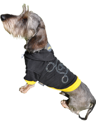 Black dog hoodie with yellow trimmings, diamante skull and rubber Doggie Hillfigher badge on hoodie.