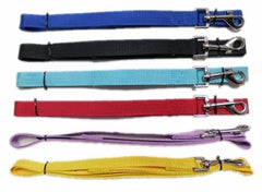 Matching nylon dog lead