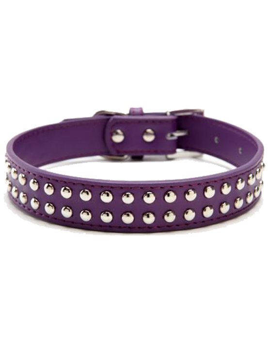 Purple leather stud dog collar