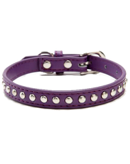 Purple leather stud dog collar