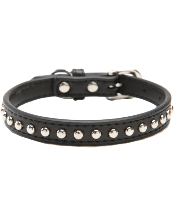 Black Leather Dog Collar with studs