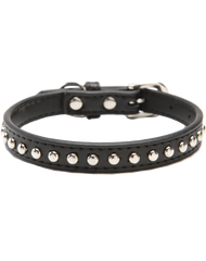 Black Leather Dog Collar with studs
