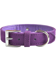 Velvet dog collar. Purple with diamantes