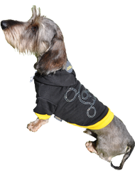 Black dog hoodie with yellow trimmings, diamante skull and rubber Doggie Hillfigher badge on hoodie. 